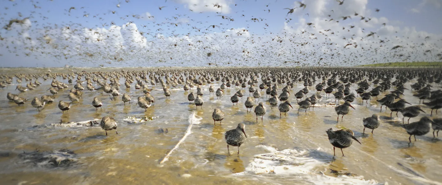 Im Licht der Sandbank Still 01