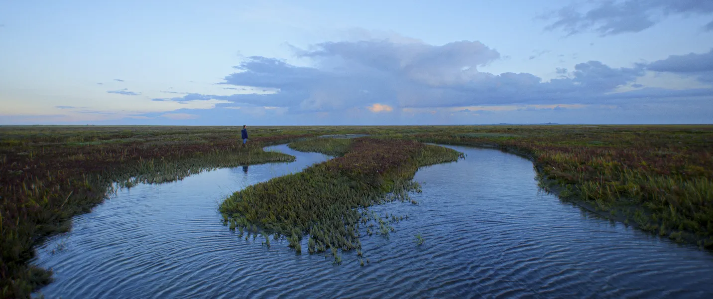 Im Licht der Sandbank Still 03