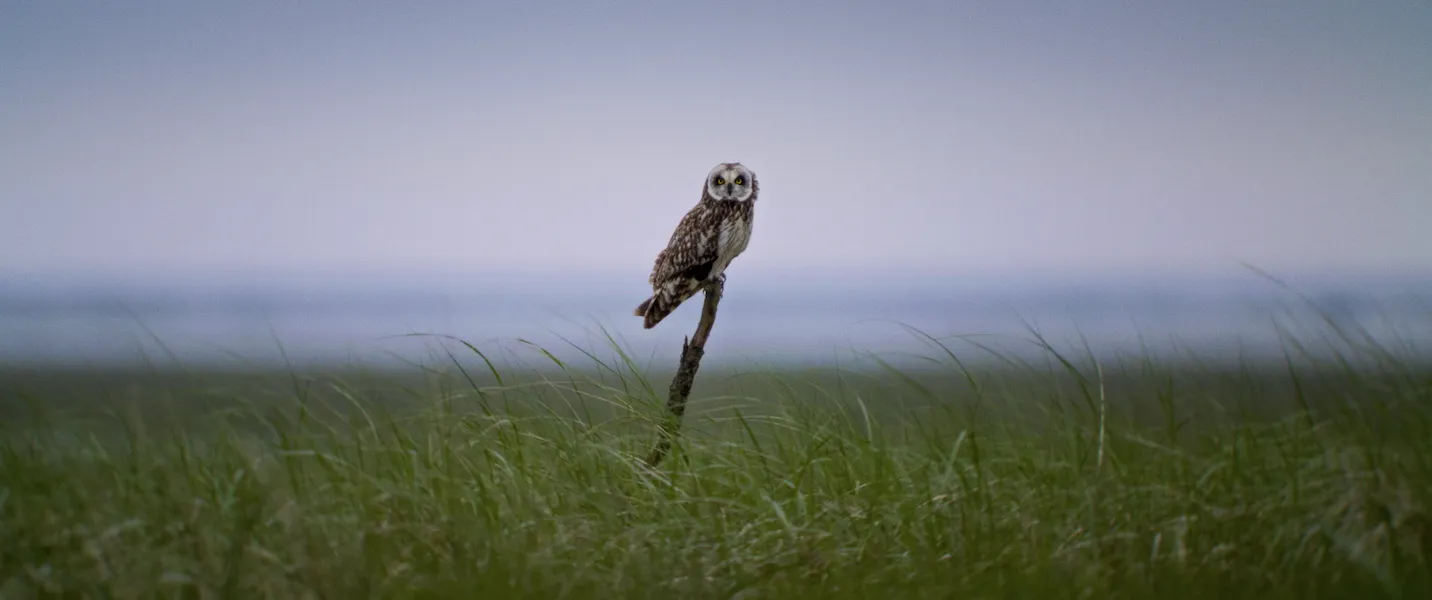 Im Licht der Sandbank Still 04