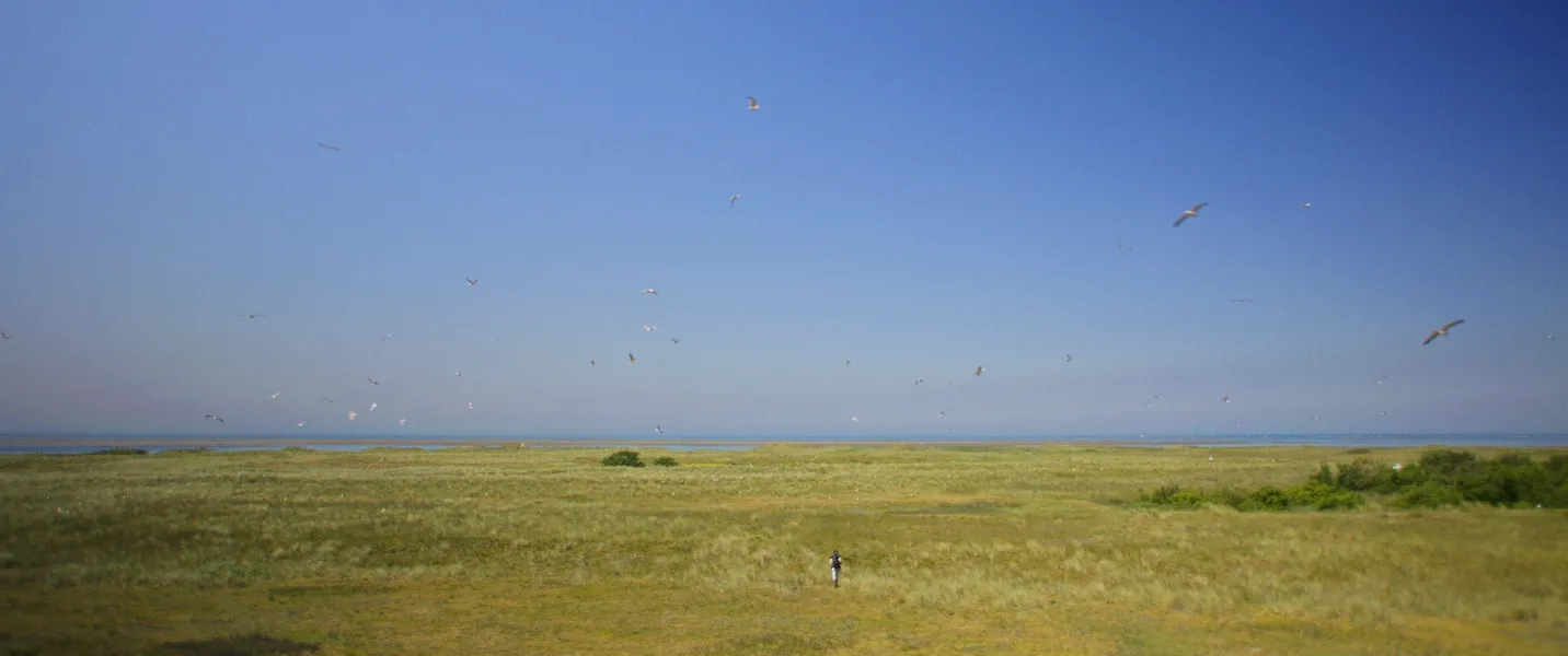 Im Licht der Sandbank Still 05